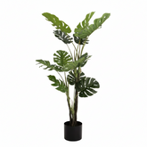 Planta Artificial Monstera Deliciosa - 160 cm