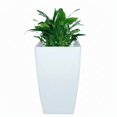 Matera LED Moderna Lumina 32x32x52