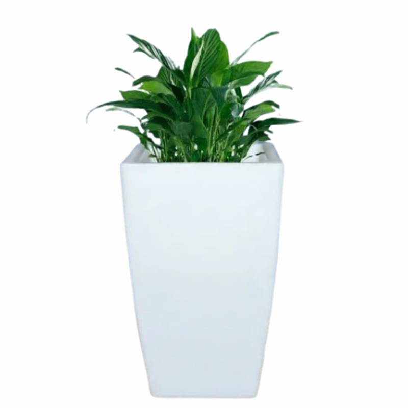 Matera LED Moderna Lumina 32x32x52
