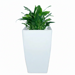 Matera LED Moderna Lumina 32x32x52
