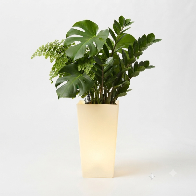 Matera LED Moderna 72x46