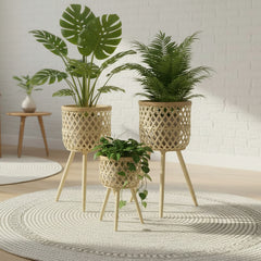 Set X3 Materas Tipo Madera