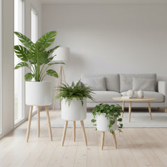 Set x3 Materas Metalicas Blanca